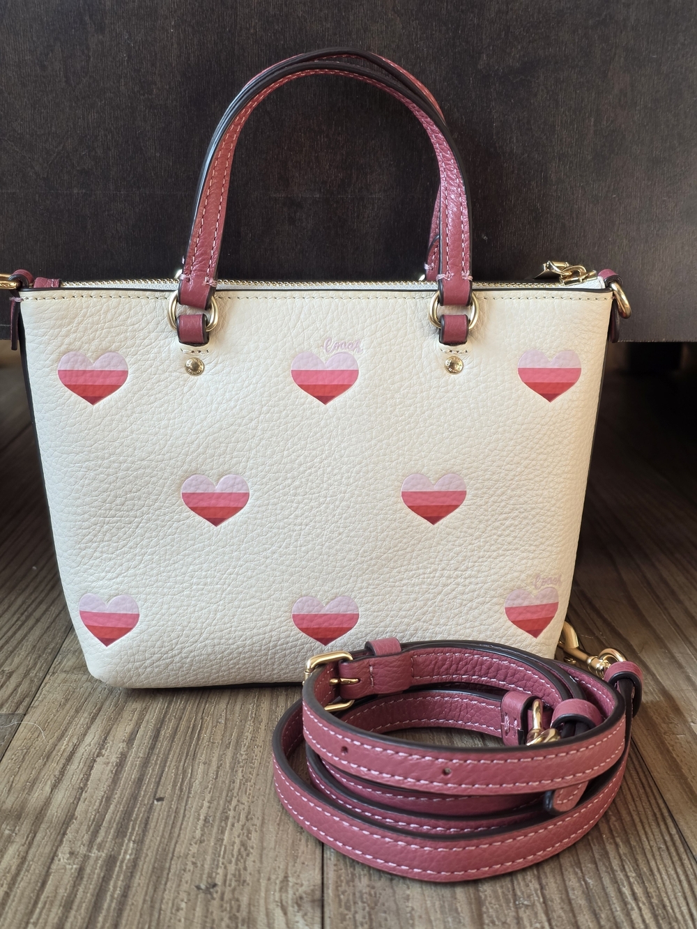 Coach Mini Gallery Crossbody with Stripe Heart Print - Picture 2 of 10